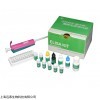 人钩端螺旋体IgM(Lebtospira)ELISA试剂盒
