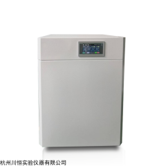 大容量单门低氧细胞培养箱CH-SQ100B