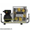 COLTRI灌装泵ICON LSE100压缩机原MCH-6
