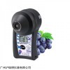 PAL-HIKARi 2葡萄无损糖度计 果品检验水分仪