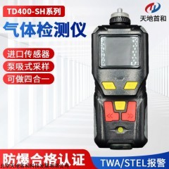 天地首和硅烷检测仪TD400-SH-SiH4