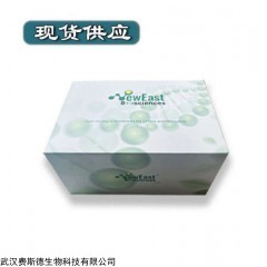 FGFR1(P252S) 小鼠单抗