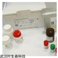 H1熒光 甲型流感H1熒光PCR試劑盒