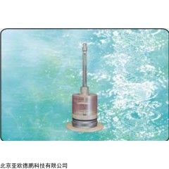 DP08121 数字深水温度计