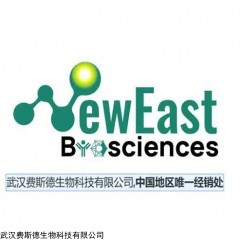 RhoA 小鼠單抗/高校文獻推薦產品