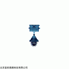 DP08304 防爆照明应急两用灯