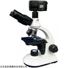 DP08430-B203 双目生物显微镜