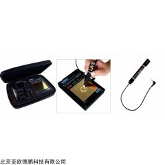 DP08652 电子黄金测试仪