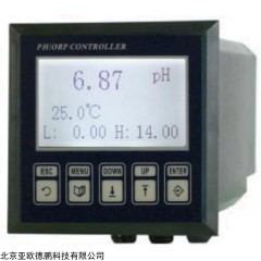 DP08686 工业酸度计