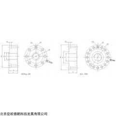 DP-3T 轮幅式拉压力传感器