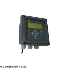 DP08742 中文在线氯离子浓度计