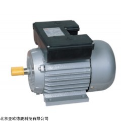 DP08802 单相电容起动异步电动机