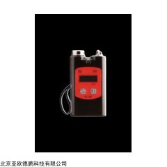 DP08824 硫化氢检测仪