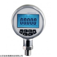 DP08832 精密数字压力表