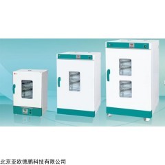 DP08870 电热鼓风干燥箱