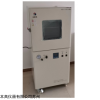 BG5119 真空干燥箱