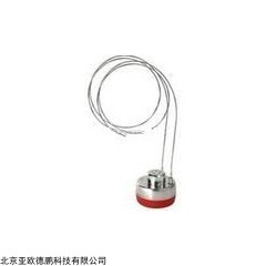 DP08987 温度压力检测仪