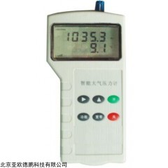 DP09019 智能大气压力计