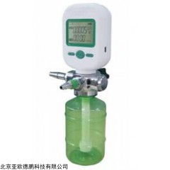 DP09034 气体质量流量计