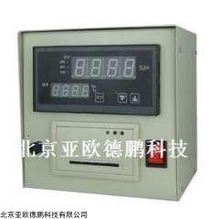 DP09036 温湿度记录仪