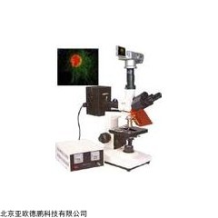 DP09051 正置荧光显微镜