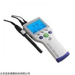 DP09091  溶解氧测定仪