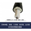 华阳气体分析仪YSB-SBNHP-D40W/40耐寒伴热管