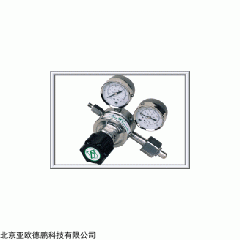 DP-YQJF-5 单压力调节器