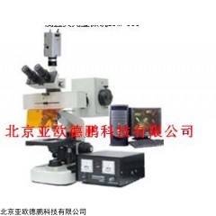 DP09236 正置荧光显微镜