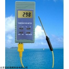 DP09265 探针式温度计