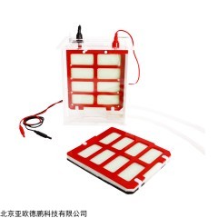 DP09286 转移电泳槽