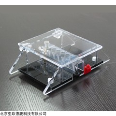 DP09291  电泳槽