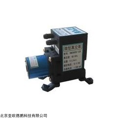 DP09378 微型真空泵