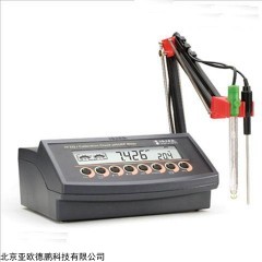 DP09388 实验室台式酸度计