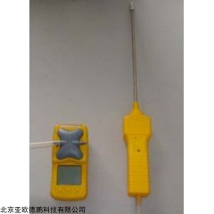 DP09392 泵吸式硫化氢检测仪