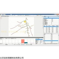 DP09438 植物根系分析仪系统