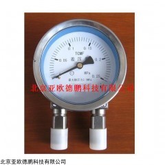 DP09448 膜片差压表