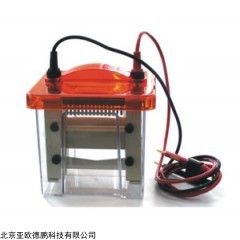 DP09468 垂直电泳仪