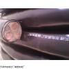 中型橡套电缆ZR-YZ-4*6