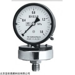 DP09566 膜片压力表