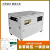 大泽动力15千瓦便携式发电机多少钱