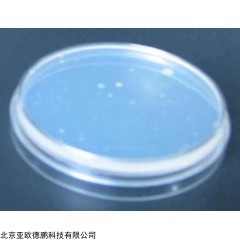 DP09661 接触性平皿