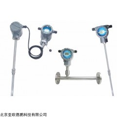 DP09767 热式流量计