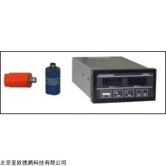 DP09830 双通道烈度监视仪