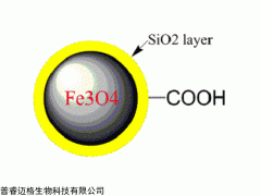 抗体蛋白、核酸偶联磁珠|羧基磁珠|羧基磁性纳米粒子|羧基磁球