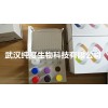 小鼠α2纖溶酶抑制物(α2-PI)ELISA試劑盒