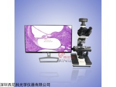 暗场生物显微镜 三目暗场显微镜 高倍可拍照 /三目显微镜