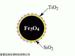 磷酸化多肽富集磁珠|硅基TiO2磁珠|二氧化钛磁珠