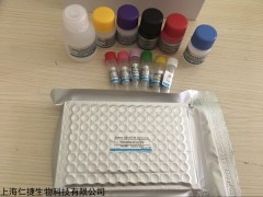 人Wnt3a蛋白(WNT3A)ELISA试剂盒厂家报价