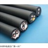 2×2.5铜芯聚氯乙稀缘护套电缆